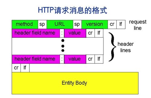 計算機網(wǎng)絡(luò)應(yīng)用與軟件簡介